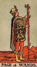 Page of Wands Tarot meaning